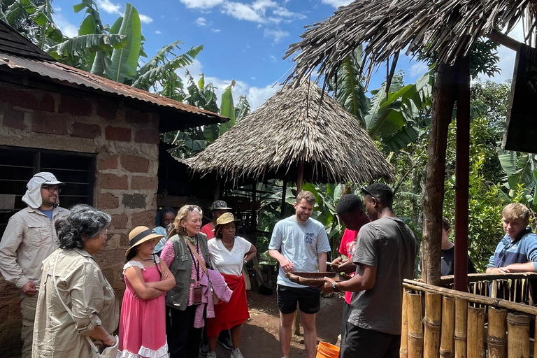 Arusha |Moshi: tour del villaggio Maasai, cascate e caffèArusha: villaggio Masai, cascata Materuni e tour del caffè