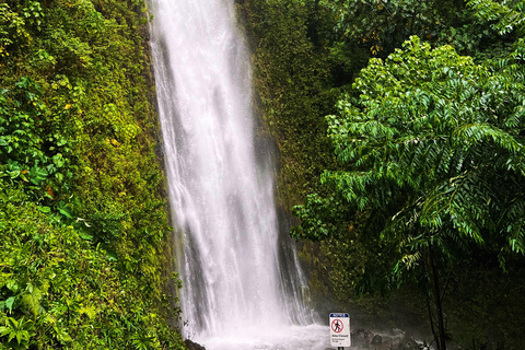 Oahu : Randonnée privée dans la vallée de Manoa et chute d&#039;eau