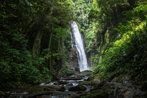 From São Paulo: Oyster Trail and My God Waterfall