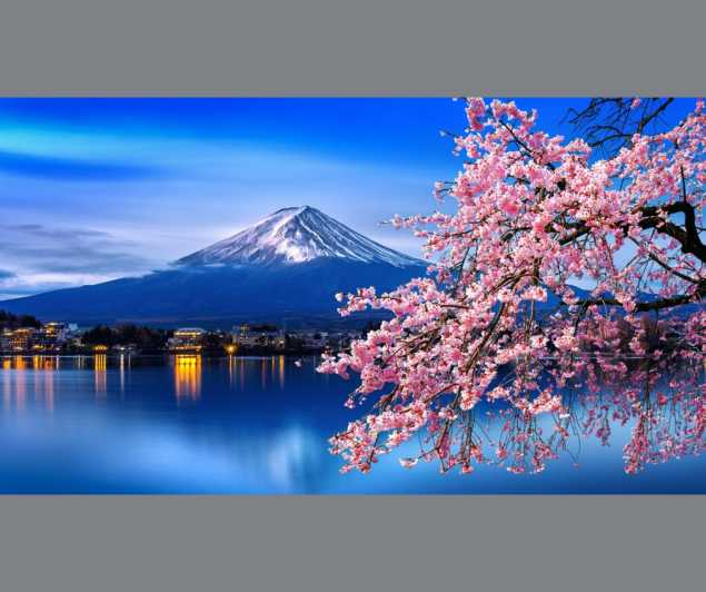 Escursione privata di un giorno al monte Fuji e alla fioritura dei ciliegi di Hakone