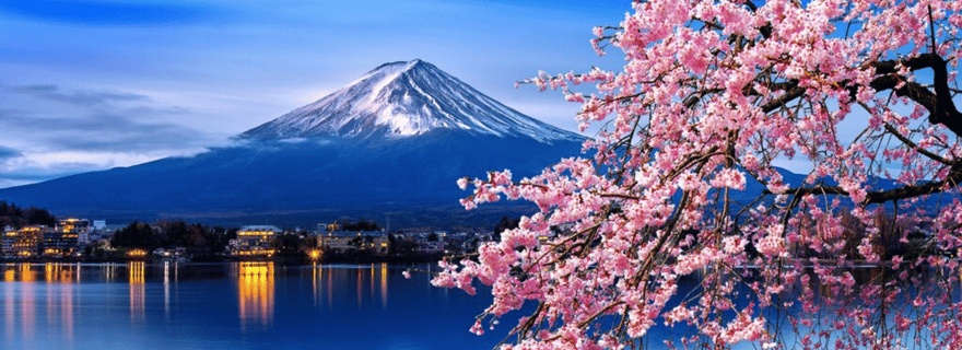Tokyo : Visite privée du Mont Fuji et des cerisiers en fleurs de Hakone