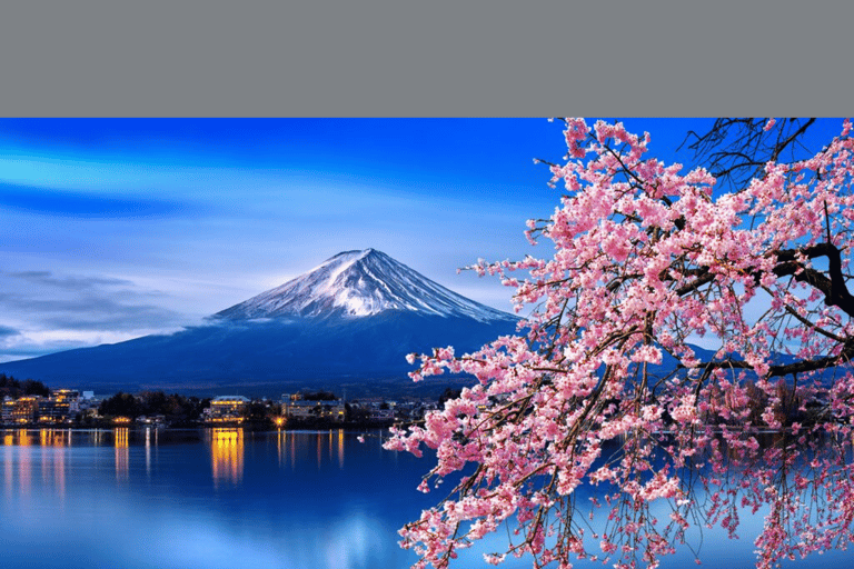 Tokyo: Mt. Fuji &amp; Hakone Cherry Blossoms Private Day Tour