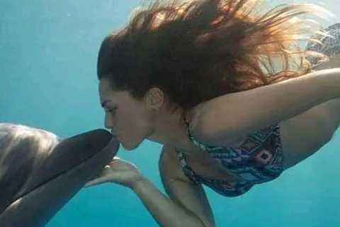 Zanzibar: Excursão aos golfinhos de Kizimkazi com natação e snorkeling