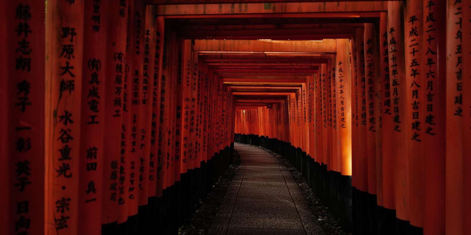 Kyoto experience — temples, geisha, bamboo grove — image 25