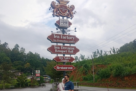 Kandy: Ambuluwawa, Pinnawala & Tea Factory by Tuk Tuk