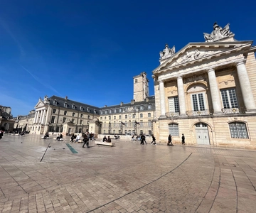 Dijon: 2-hour Best Intro Walking Tour with a Local