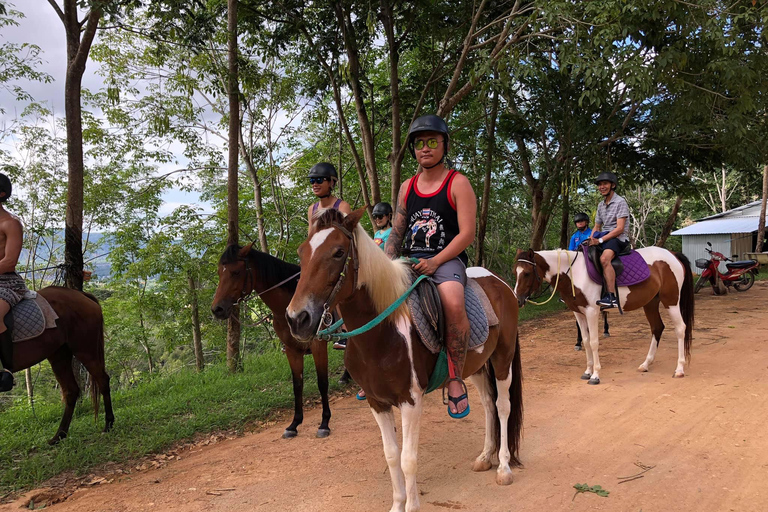 Phuket Jungle Horseback Ride with Scenic Forest Views Adventure Trail (2 Hrs)
