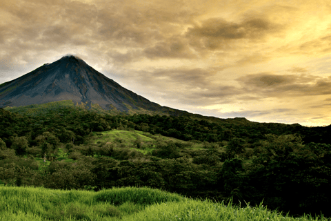 COSTA RICA:UPPTÄCK COSTARICAS VILDA DJUR-STRAND &amp; SKOG 2VECKOR