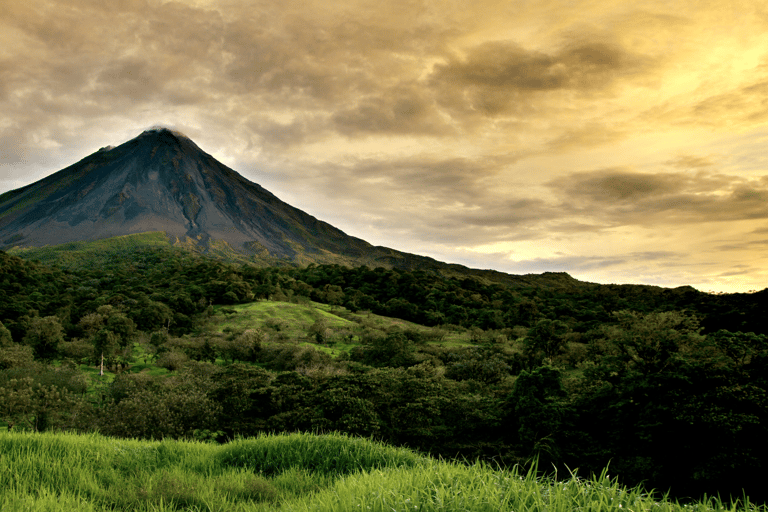 COSTA RICA:UPPTÄCK COSTARICAS VILDA DJUR-STRAND &amp; SKOG 2VECKOR