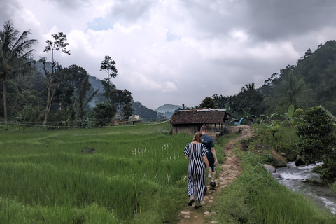 Bandung Countryside Tour: Waterfall, Rice Fields &amp; Culture