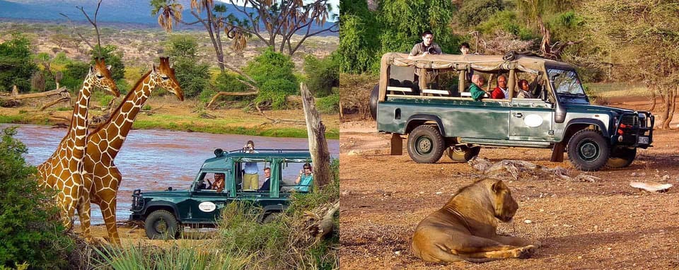 3 Tage Samburu Nationalpark Safari Im 4x4 Land Cruiser Jeep GetYourGuide