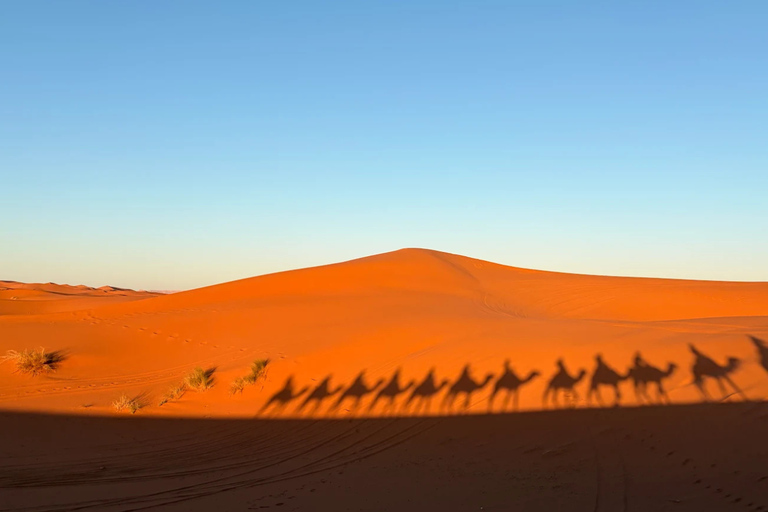 From Marrakech: 3-Day Merzouga Tour with Camel Trek & Luxury Camp Shared Standard Sahara Tour – Popular Choice