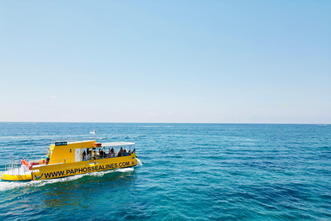 Paphos : Croisière de 2 heures avec observation des tortues et boissons