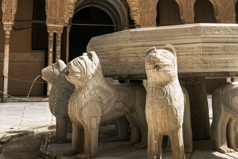 Granada: Alhambra y Palacios Nazaríes Visita guiada en grupo reducido