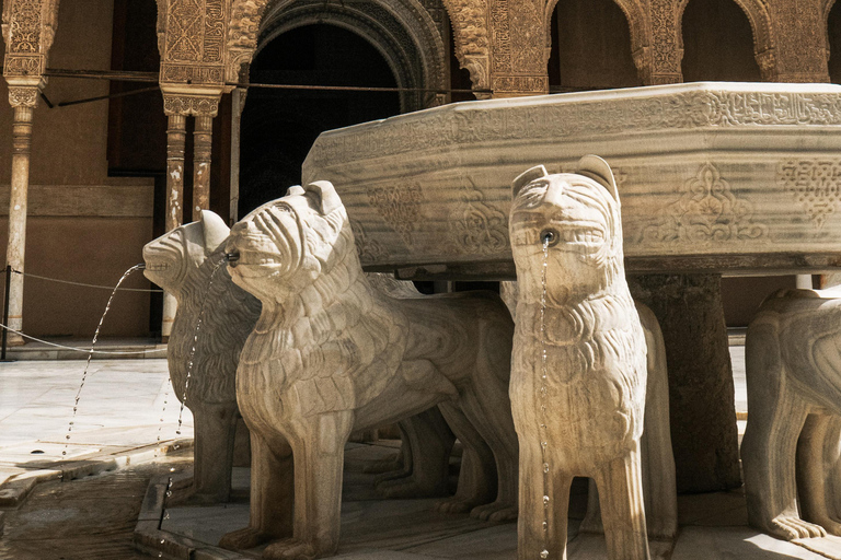 Granada: Alhambra y Palacios Nazaríes Visita guiada en grupo reducido