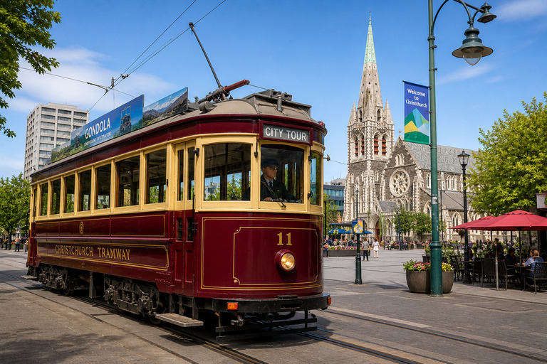 Christchurch: Private Guided City and Scenic Day Tour