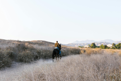 Ronda: Andalusian Panoramic Valley Horseback Experience