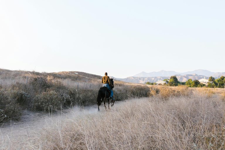 Ronda: Andalusian Panoramic Valley Horseback Experience