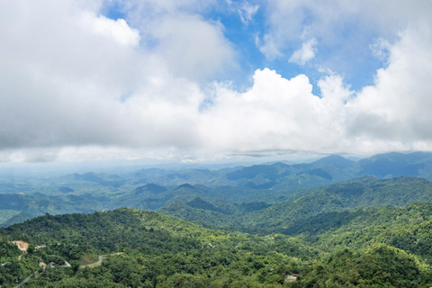 Huatulco: Pluma Hidalgo Coffee Origin and Essence.