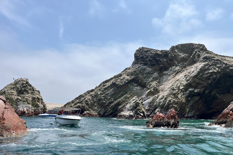 From Ica: Ballestas Islands and Paracas National Reserve. Private from Ica: Ballestas Islands and Paracas National Reserve.