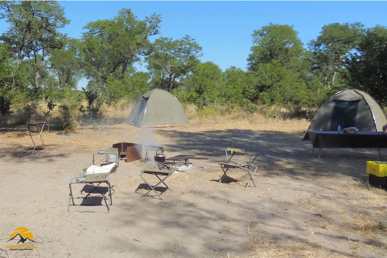 3-Day Wildlife Wonder! Tarangire, Lake Manyara & Ngorongoro.