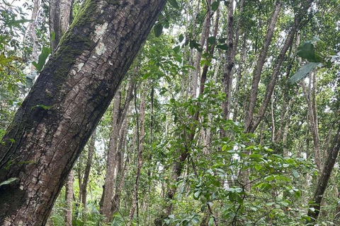 Zanzibar: Spice Farm, Jozani Forest & Salaam Cave Tour Private tour without hotel transfer