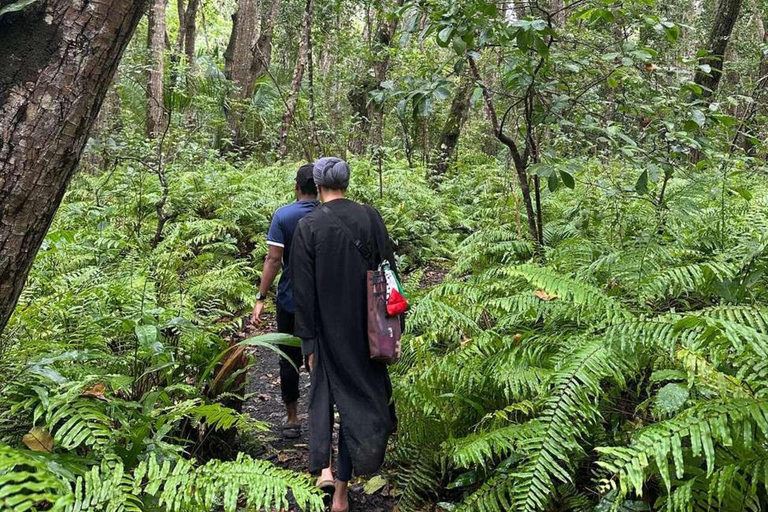 Zanzibar: Spice Farm, Jozani Forest & Salaam Cave Tour Private tour without hotel transfer