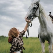 Lopburi: Horse Back Riding and Trail by On the Bit Lopburi: Horse Back Riding and Trail by On the Bit