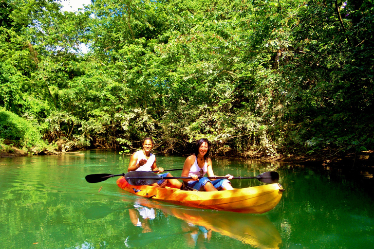 Excursión ecológica por la selva