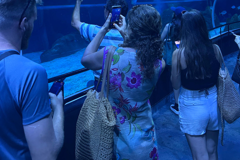 Best Private Tour in Rio: Sugarloaf, Christ by Train, AquaRio, Selarón
