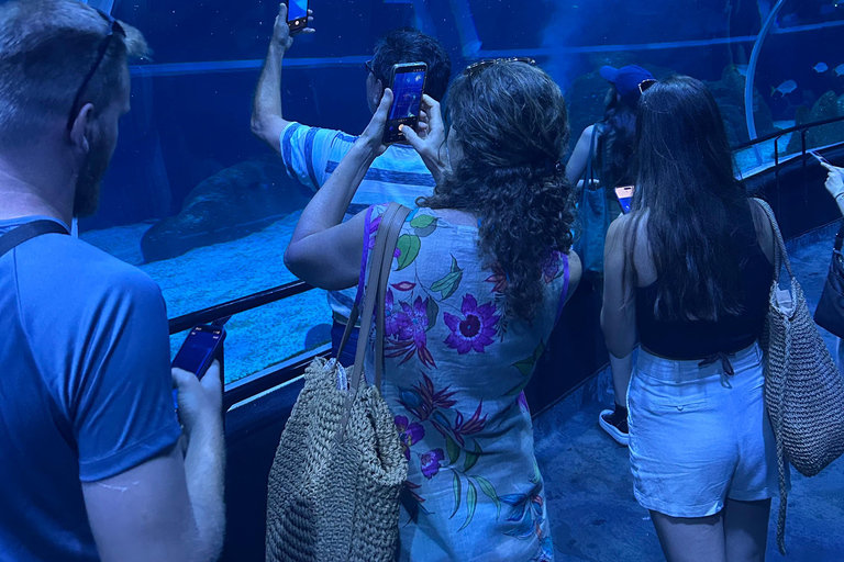 Best Private Tour in Rio: Sugarloaf, Christ by Train, AquaRio, Selarón