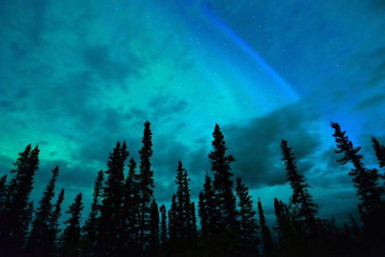 Banff/Canmore: NACHT ADVENTURE met mogelijke STARGAZING tour