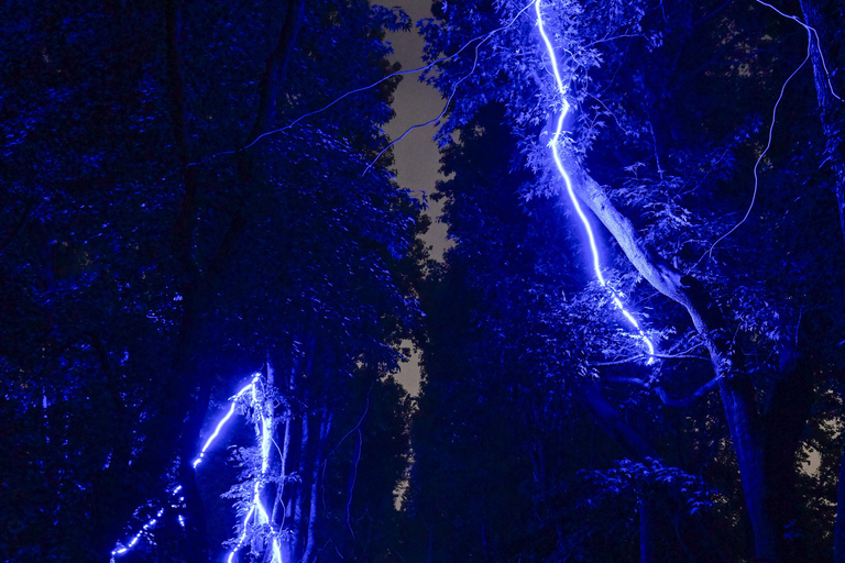 Porto: Serralves Em Luz Immersive Light Show Entry Ticket