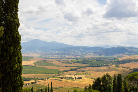 Florence: Monteriggioni & Val d'Orcia Optional Wine Tasting Classic Option in Portuguese