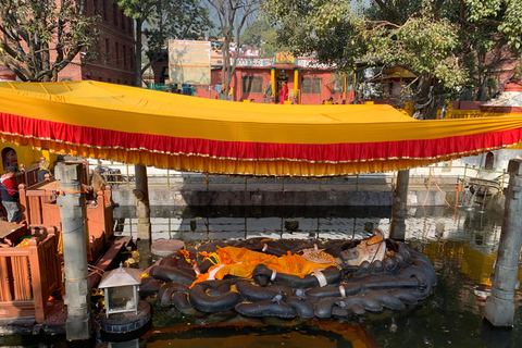 From Kathmandu: Budhanilkantha Temple Guided Tour
