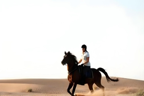 الدوحة: ركوب الخيل العربي في صحراء قطر مع النقل