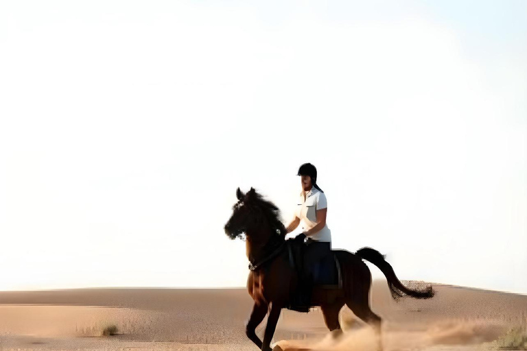 الدوحة: ركوب الخيل العربي في صحراء قطر مع النقل