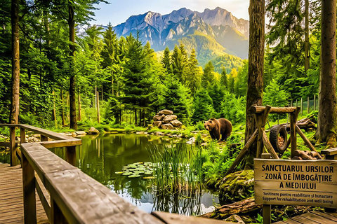 Bucharest: Dracula Castle, Bear Sanctuary & Medieval Brasov Entrance tickets: Dracula, Bear Sanctuary and Brasov