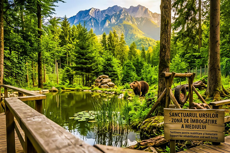 Bucharest: Dracula Castle, Bear Sanctuary & Medieval Brasov Entrance tickets: Dracula, Bear Sanctuary and Brasov