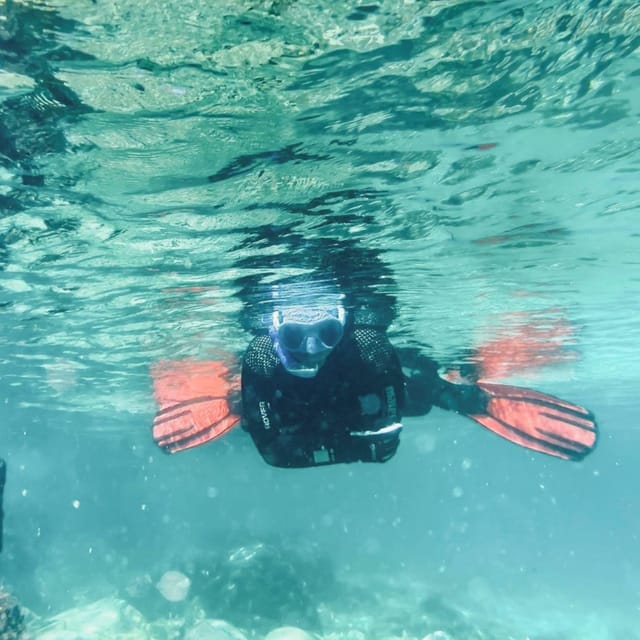 Lanzarote Guided Snorkel Tour in Natural Park. GetYourGuide