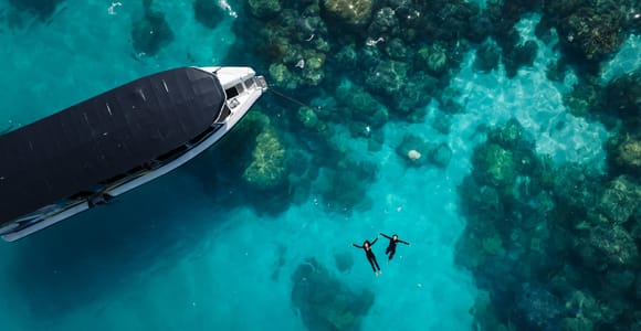 Cairns: Great Barrier Reef Small Group Snorkelling Tour