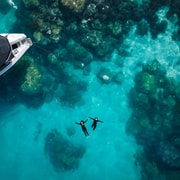 Cairns: Great Barrier Reef Small Group Snorkelling Tour