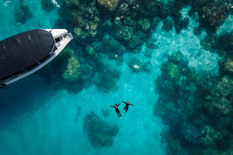 Cairns: snorkeling nella Grande Barriera Corallina in piccoli gruppi