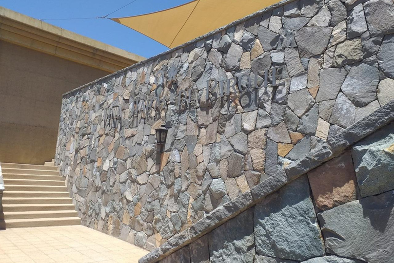 Viña Haras de Pirque Wine Experience