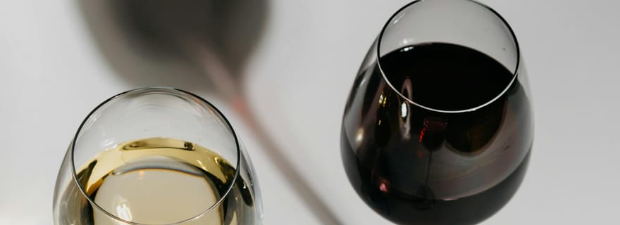 DÉGUSTATION DE VINS, TRANSFERT INCLUS !