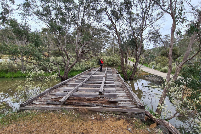 Perth: Bickley Valley Hiking Experience with Morning Tea