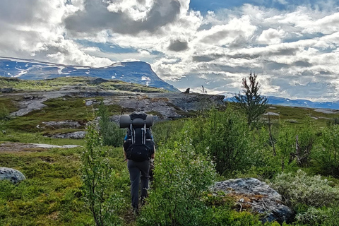 Abisko: Panorama View - Huskie Hike