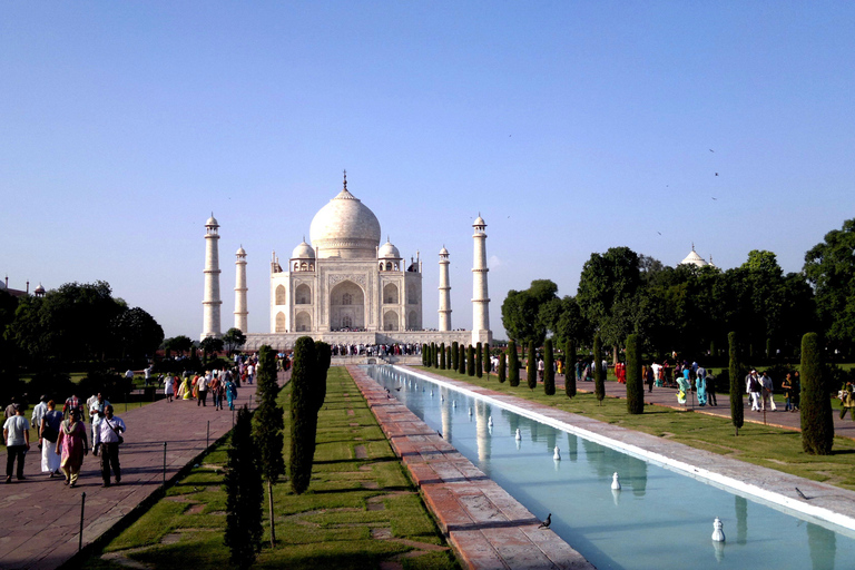 Taj Mahal: Samma dag Agra guidad tur från Jaipur eller DelhiEndast professionell guide (inga transporter eller biljetter)