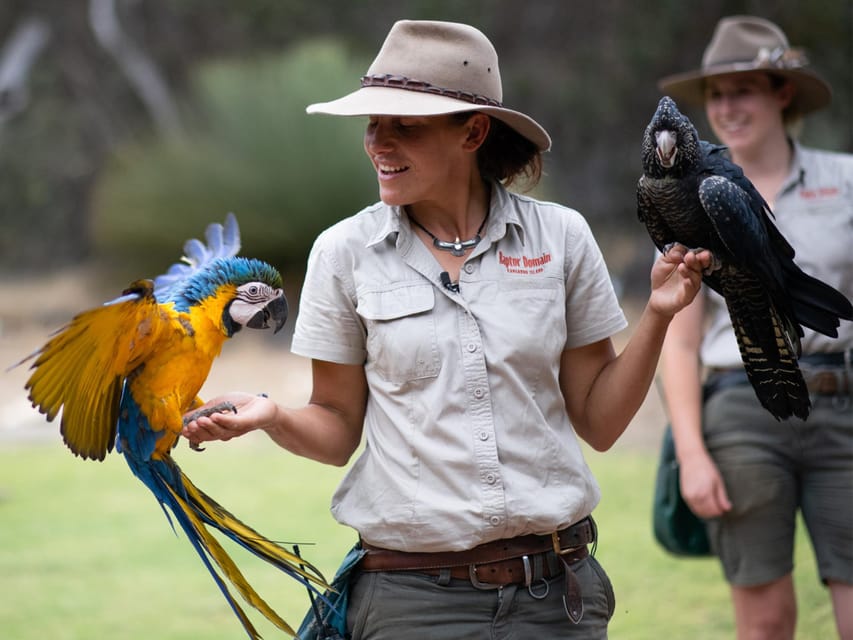 From Penneshaw Kangaroo Island Sights and Wildlife Tour GetYourGuide