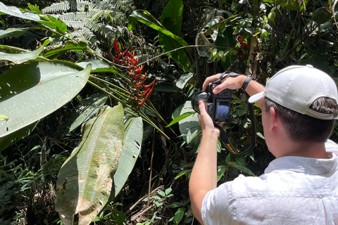 San Paolo: Escursione nella foresta atlantica con un biologoSan Paolo: Escursione di un giorno nella foresta atlantica con un biologo